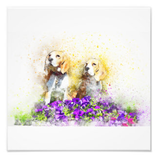 Twins Dogs Fotodruck