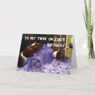 TWINS HAMSTER SPASS=Leicht, IHR ZWEIFEL ZU SEIN Karte