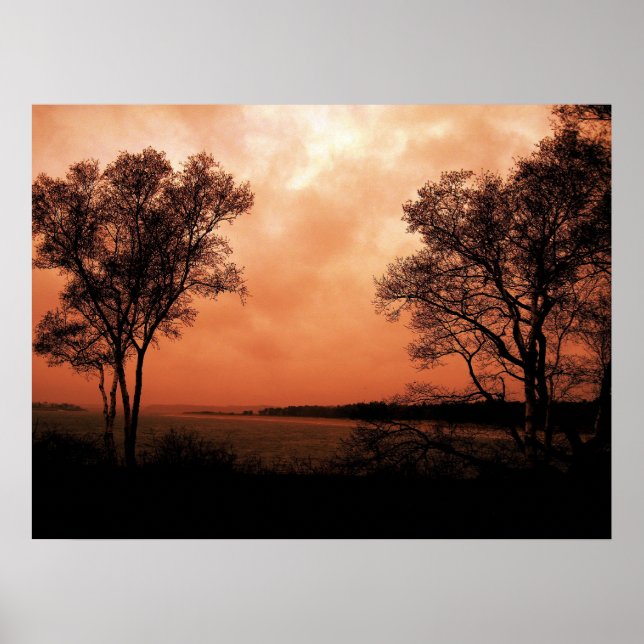 Twins Poster (Vorne)