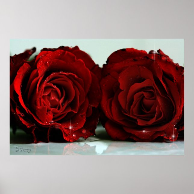 Twins Poster (Vorne)