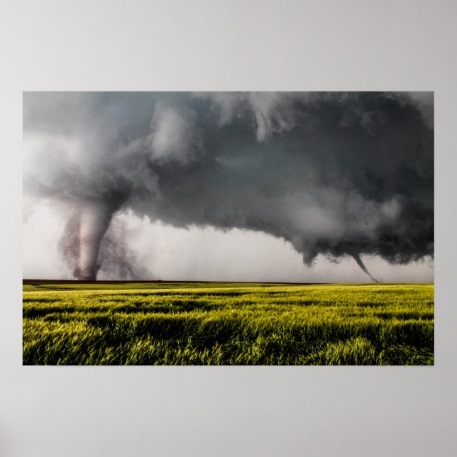 Twins Poster (Vorne)