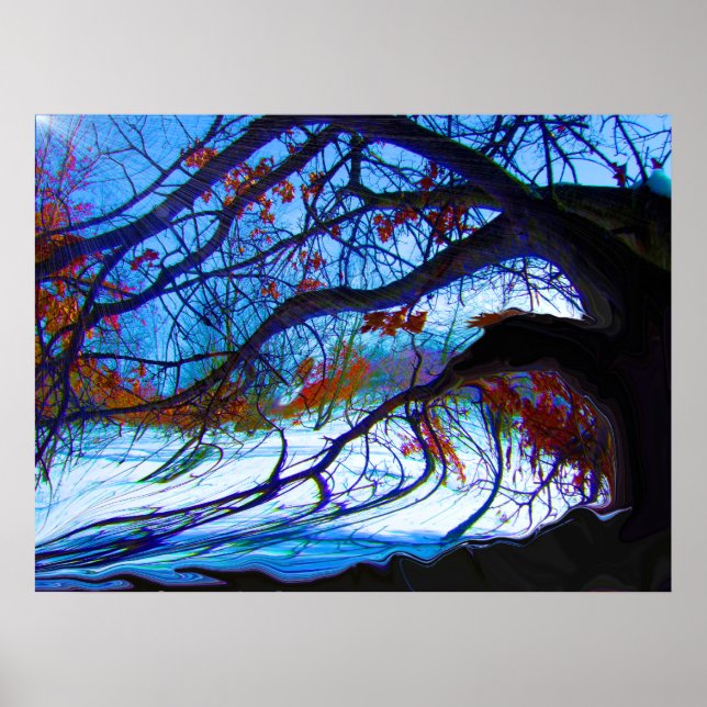 Twisted Oak Poster (Vorne)