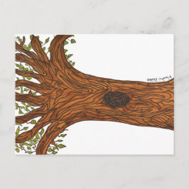 Twisted Tree Postcard Postkarte