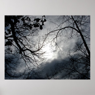 Twisted Trees Winter Storm Cloud Sky Poster