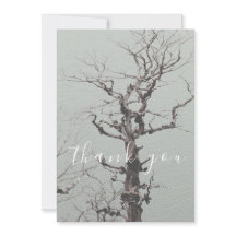 Twisted Weathered Tree Blue Lake Flat Vielen Dank