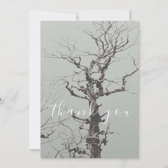 Twisted Weathered Tree Blue Lake Flat Vielen Dank Dankeskarte (Vorderseite)