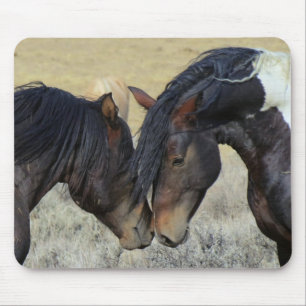 Two Brown Wild Horses Nuzzling Mousepad