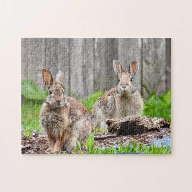Two Bunny Rabbits Puzzle (Horizontal)