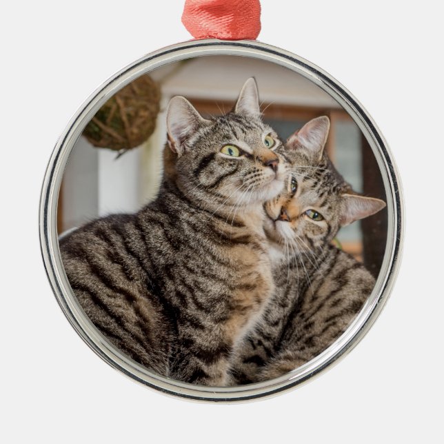 Two cats hugging ornament aus metall (Vorne)