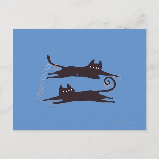 Two Cats Playing Postkarte (Vorderseite)