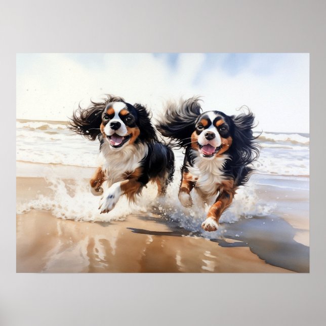 Two Cavalier King Charles Spaniels Poster (Vorne)