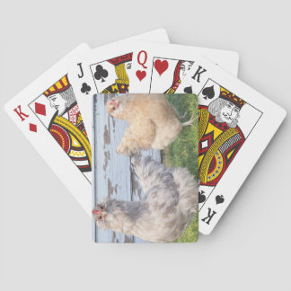 Two Chickens Poker Cards – Cute Farm Animal Play Spielkarten