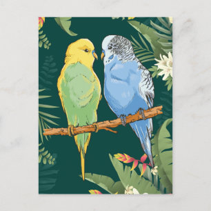 Two cute blue and green Budgie Postkarte