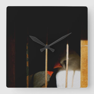 Two Cute Finch Birds in Cage Quadratische Wanduhr