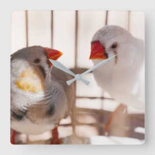 Two Cute Finches in Cage Quadratische Wanduhr