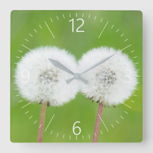 Two dandelions quadratische wanduhr
