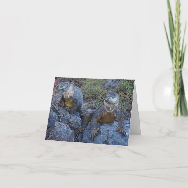 Two Iguanas Greeting Card Karte (Vorderseite)