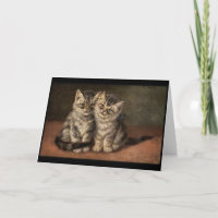 Two kittens. Boy, Girl. Love, anniversary
