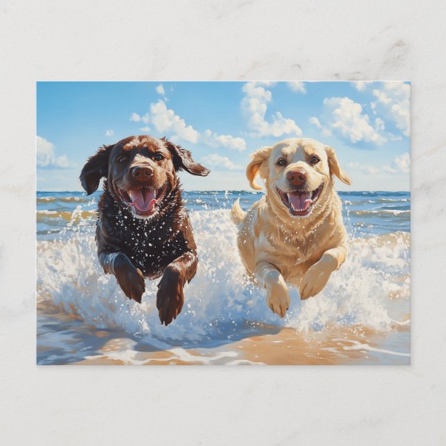 Two Labrador Retrievers on Beach Postkarte (Vorderseite)