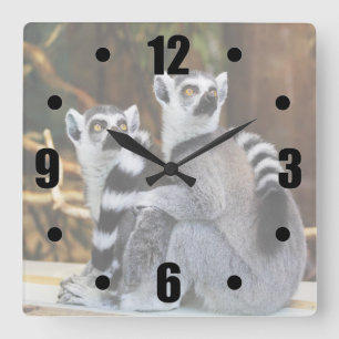 Two Little Lemurs Quadratische Wanduhr