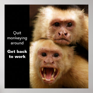 Two Monkeys Motivational Poster