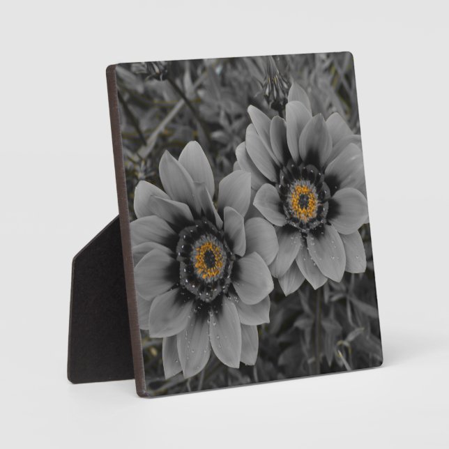 Two of a Kind Fotoplatte (Vorderseite)