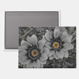 Two of a Kind Magnet