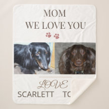 Two Paws, One Loving Mom