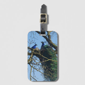 Two Peacocks in a Tree Luggage Tag Gepäckanhänger