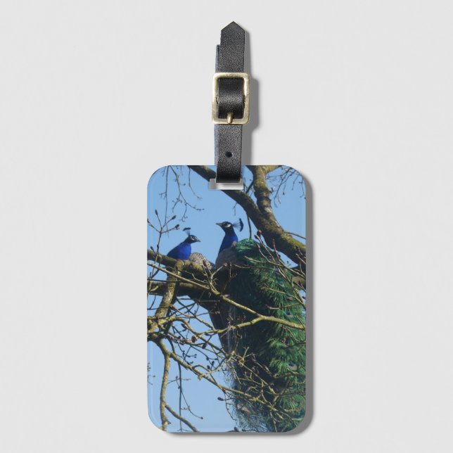 Two Peacocks in a Tree Luggage Tag Gepäckanhänger (Vorderseite Vertikal)