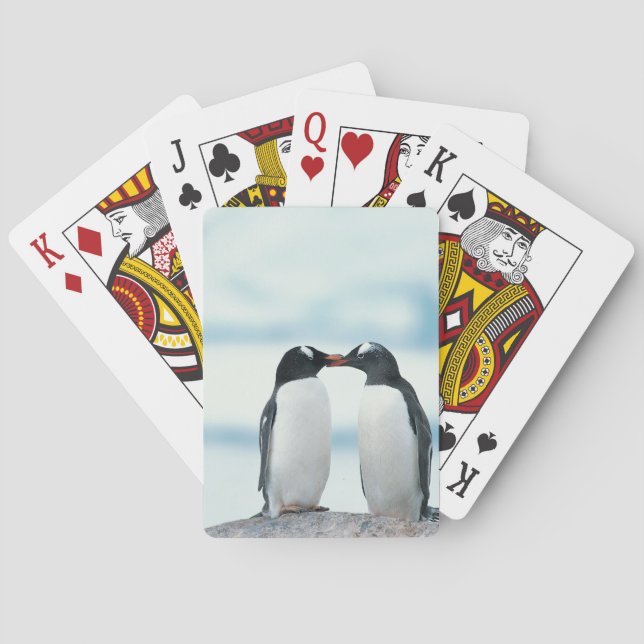 Two Penguins touching beaks Spielkarten (Rückseite)