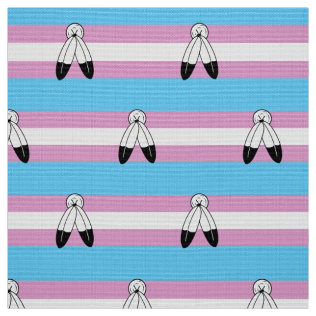 Two-Spirit Trans Pride-Flagge Stoff (Muster)