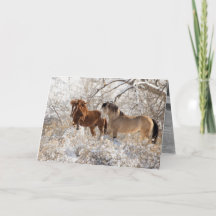 Two Stallions in Snow - Wild Horse Greeting Card
