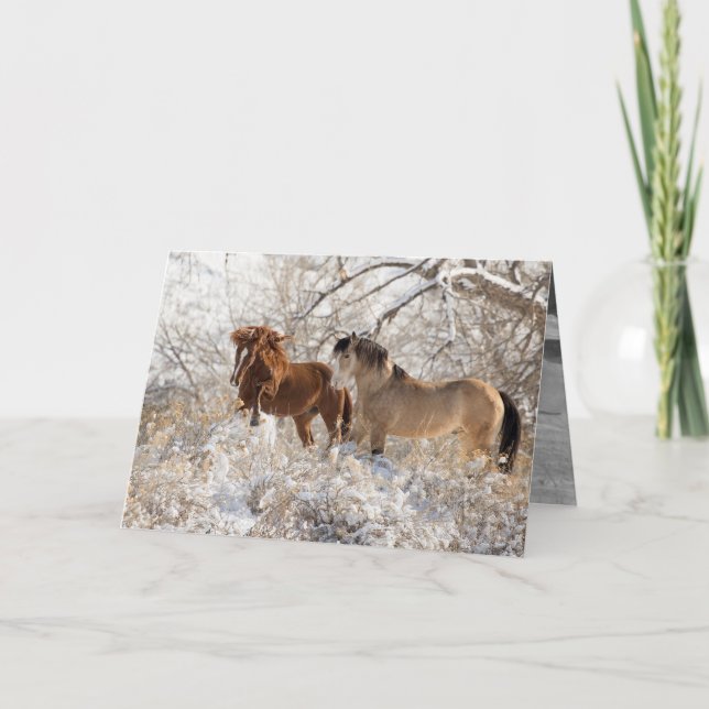 Two Stallions in Snow - Wild Horse Greeting Card Karte (Vorderseite)