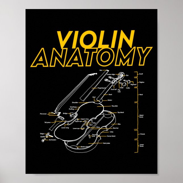 Twoset Violin Violin Anatomy Drawing Diagram Limit Poster (Vorne)