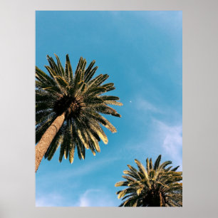 Twp Palmen am Tag unter blauem Himmel Poster