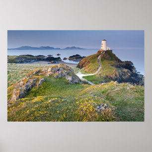 Twr Mawr-Leuchtturm auf Llanddwyn Insel Poster
