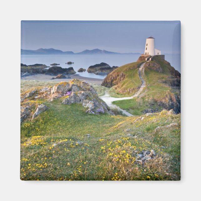 Twr Mawr Lighthouse auf Llanddwyn Island Magnet (Vorne)
