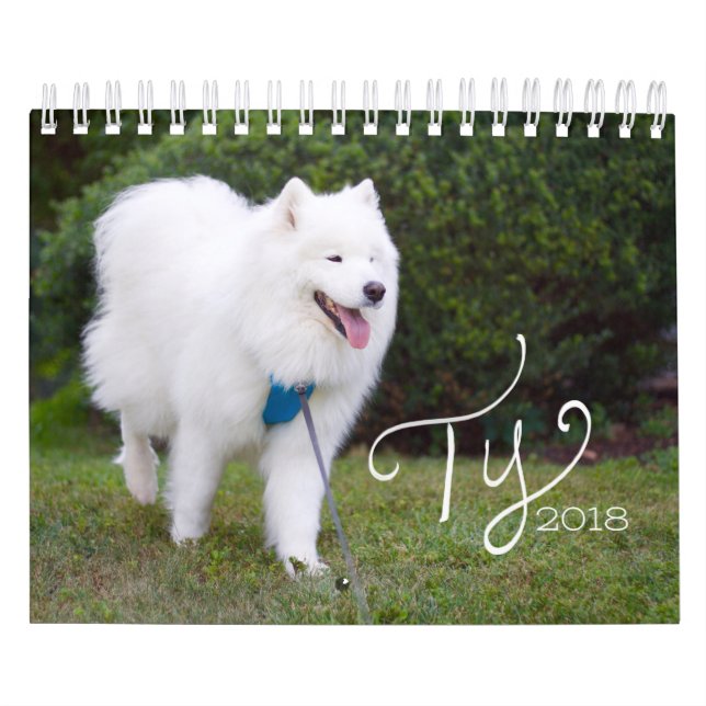 Ty 2018 kalender (Titelbild)