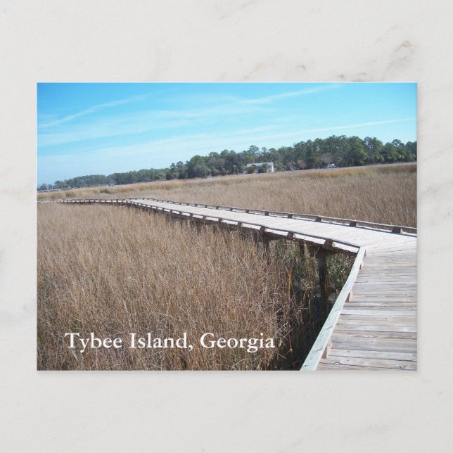 Tybee Island Georgia GA Postcard Foto Postkarte (Vorderseite)