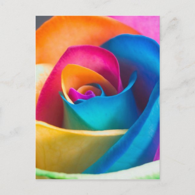 Tye Dye Single Rose Postkarte (Vorderseite)