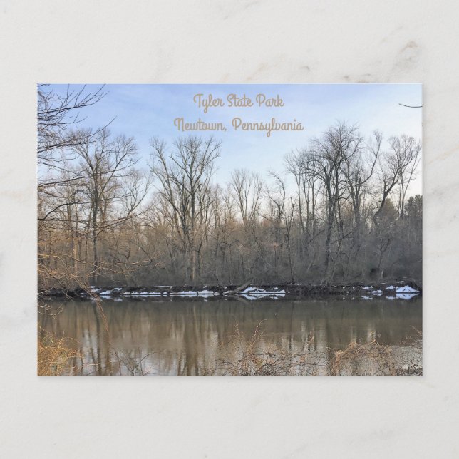 Tyler Staat Park Postkarte (Vorderseite)