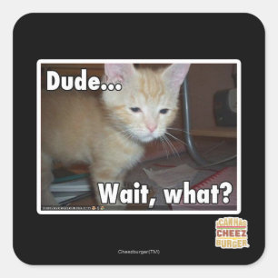 Typ Quadratischer Aufkleber