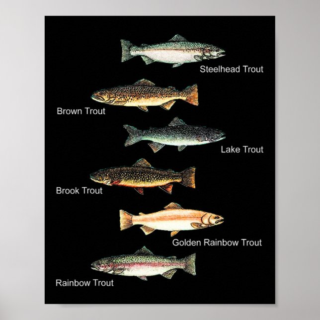 Types Of Trout Fish Species Collection Fishing  Poster (Vorne)