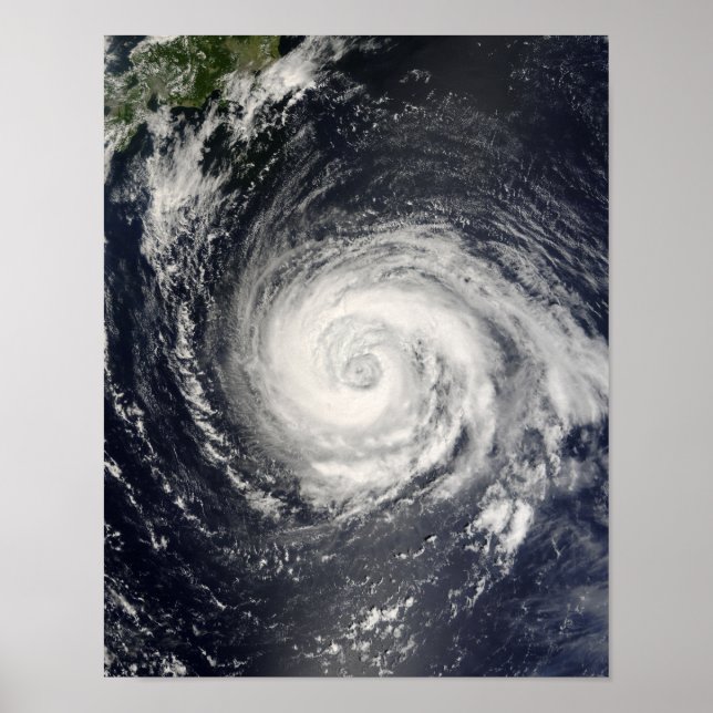 Typhoon Fitow Poster (Vorne)