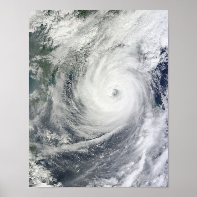 Typhoon Megi Poster (Vorne)