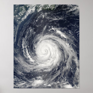 Typhoon Rusa Poster