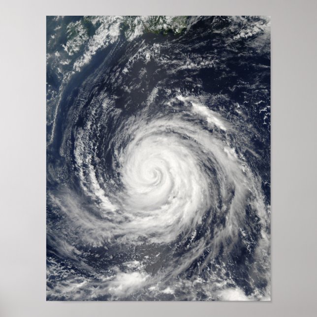 Typhoon Rusa Poster (Vorne)