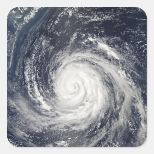 Typhoon Rusa Quadratischer Aufkleber (Vorderseite)