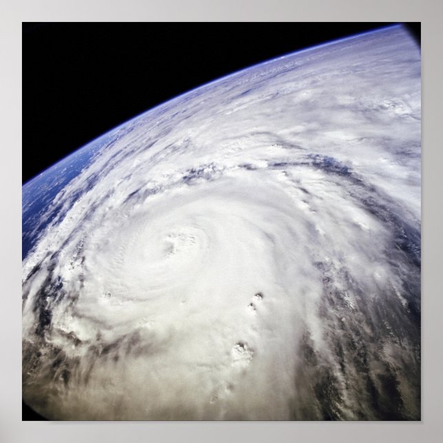 Typhoon Saomai Poster (Vorne)